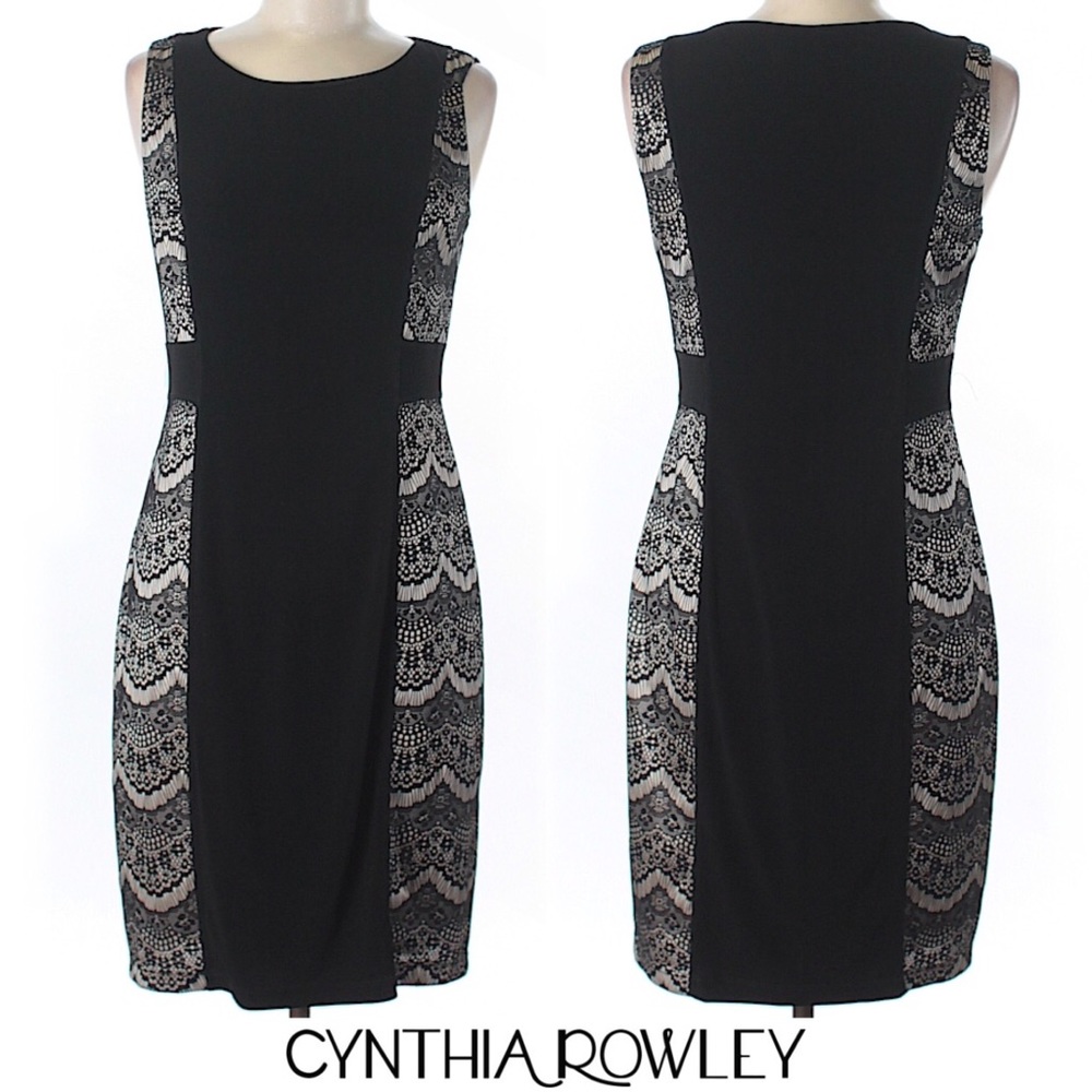Cynthia Rowley | Lace Stretch Sheath Dress Sz 4